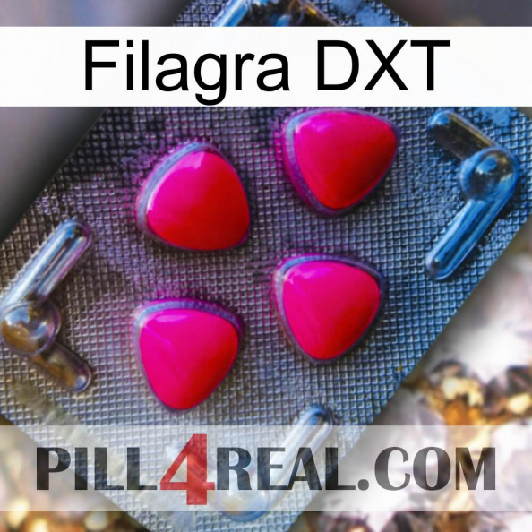 Filagra DXT 13.jpg